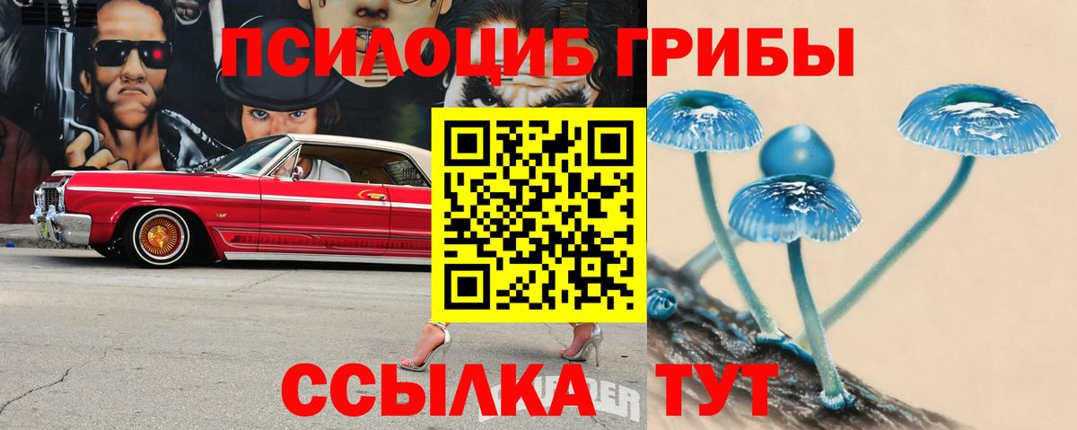 Псилоцибиновые грибы ЛСД Новочебоксарск