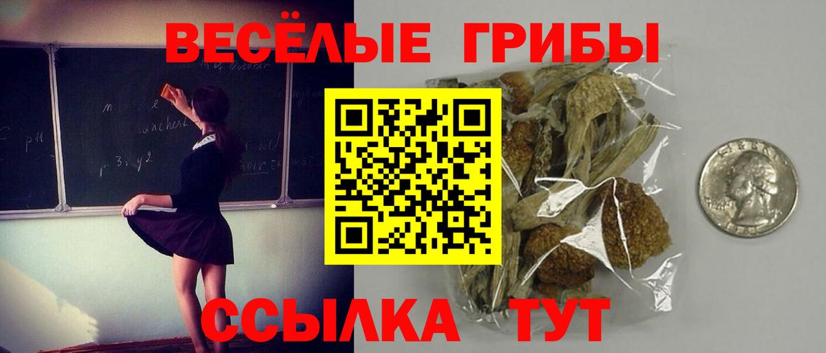 Псилоцибиновые грибы Psilocybe  Псилоцибиновые грибы Psilocybine cubensis  Новочебоксарск  Вход с VPN 